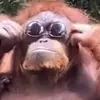 Jack Snipes - @fleshsnakeog - TikTok