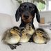 Jackie Sonntag - Facebook