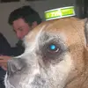jack.spangler - @.hooplah - TikTok