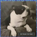 Jack Spicer - @jack.spicer.33 - Instagram
