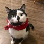 Jack Spicer - @spicerjackjack - Instagram