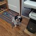 Jack Spicer - Facebook