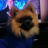 🤟👌Джек👌🤟 - @jack.spitz - TikTok