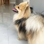 Jack 🌪 - @jack.spitz_ - Instagram