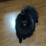 Jack Bernardi - @_jack.spitz - Instagram