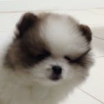 Jack - @jack.spitz - Instagram