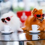 Jack o Spitz - @jack__ospitz - Instagram