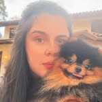Jack Poms - Spitz Alemão - @jackpoms.kennel - Instagram