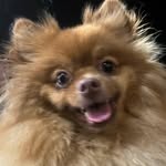 @jack_spitz2021 - Instagram