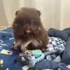 Jack Spitz - @jack.spitz6 - TikTok