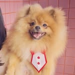 Jack_spitz - @jack_spitz7 - Instagram