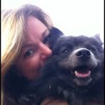Jack the German Spitz - @jackblack_spitz - Instagram