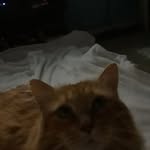 Jackie Stanberry - @jackie.stanberry.9 - Instagram