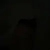 Jack Standish - @jackdishstandish - TikTok