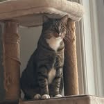 Jackson - @jackson_standish - Instagram