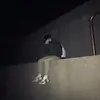jack.standish - @jack.standish1 - TikTok