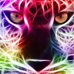 Jack Stanko - @ingodwetrust33 - Instagram