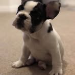 Jack Stanko - Facebook