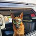 Jack Stearns - Facebook