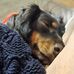 Jacki Stearns - Facebook