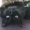 Jackie - @jackiestearns7 - TikTok
