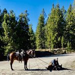 Jack Steed - @steedjackw - Instagram