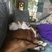Jack Stefanski - Facebook
