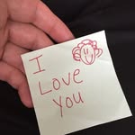 Jack  steffy - @jack_steffy - Instagram