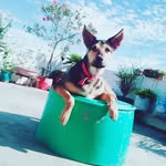 jack_steffy - @thecollection0 - Instagram