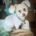 Jack Stegall - Facebook