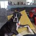 Jack Steiger - Facebook