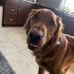 Jack Steinman - Facebook