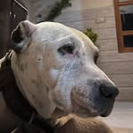 Jack Stella Garry - @jack_stella_garry - Instagram