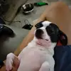 Jack Sterns - @jack.sterns - TikTok