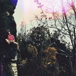 Jack Sterner - @wackybernstoobs - Instagram