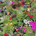 Jacky Stieber - @jackystieber - Instagram