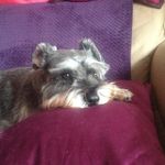 Jack Stiefel - @terry_f_stevens - Instagram
