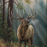 Jake Stiefel - @jakestiefel - Instagram