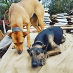 Jack Stiles - @jackofalltrades_stiles - Instagram
