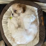 Jack Stiller - @oceansidefamilies - Instagram