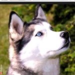 Jack - @jack.stiner - Instagram