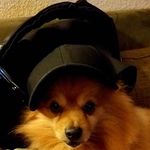 Jack Stine - @jackstineradio - Instagram