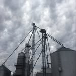 Jackstingley - @stingley_farms - Instagram