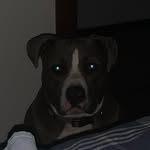 _Jack_stock_ - @_jack_stock_ - Instagram