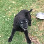 Jack Stock - @jackstock - Instagram