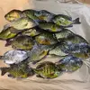 Jake Stoffel - @jake.stoffel - TikTok