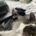Jack Stolpmann - Facebook