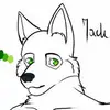 JackStormSL64 - @animelover_527 - TikTok
