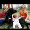 Jack Strahan971 - @jack..strahan - TikTok