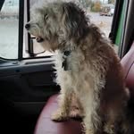Jack Strait - @whiskeyxiii - Instagram